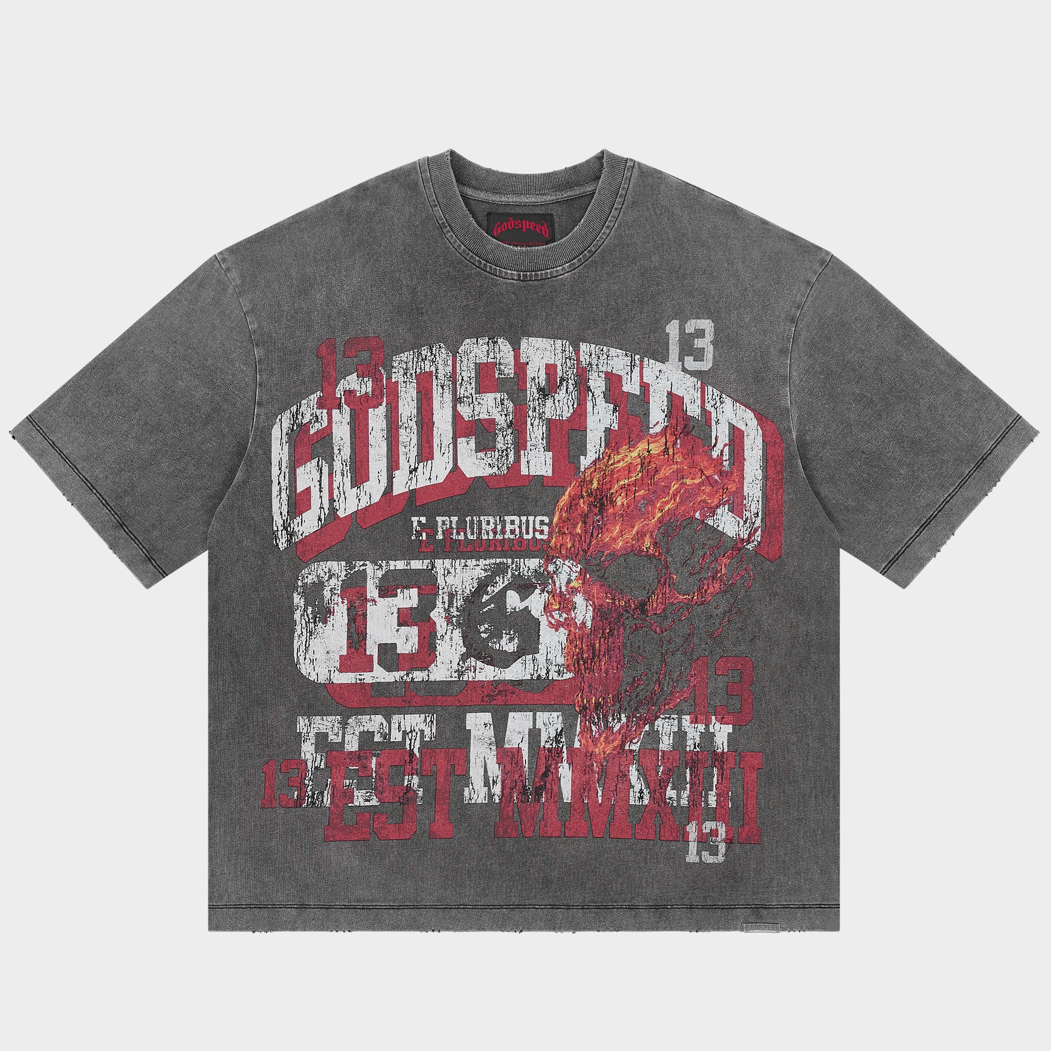 Seeing Double T-shirt (Grey Wash)